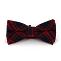Blue and Red Tartan Bow Tie