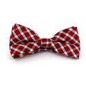 Red and White Checkered Bow Tie