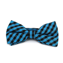 Blue and Black Gingham Bow Tie
