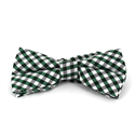 Green and White Gingham Bow Tie
