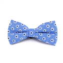 Blue Floral Bow Tie