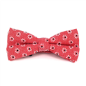 Red Floral Bow Tie