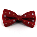 Red Floral Bow Tie