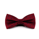 Burgundy Bow Tie with Blue Polka Dots