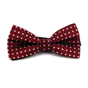 Burgundy Bow Tie with White Polka Dots