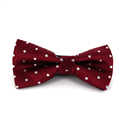 Burgundy Bow Tie with White Polka Dots