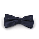 Dark Grey Bow Tie with Shimmering Dots