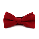 Red Suede Plain Bow Tie
