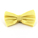 Light Yellow Checkered Solid Bow Tie