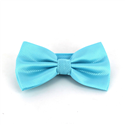 Light Blue Checkered Solid Bow Tie