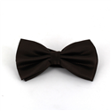 Brown Checkered Solid Bow Tie