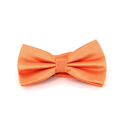 Light Orange Checkered Solid Bow Tie