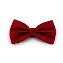 Dark Red Checkered Solid Bow Tie