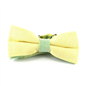 Solid Yellow and Green Oxford Bow Tie