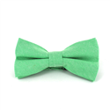 Solid Green Oxford Bow Tie
