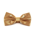 Champagne Satin Solid Bow Tie