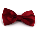 Solid Burgundy Satin Bow Tie