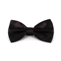 Brown Satin Solid Bow Tie