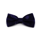 Solid Purple Satin Bow Tie