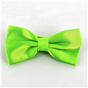 Solid Green Satin Bow Tie
