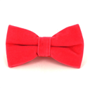 Coral Velvet Solid Bow Tie