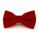 Red Velvet Solid Bow Tie