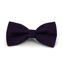 Purple Bow Tie with Blue Polka Dots
