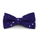 Purple Bow Tie with Multicolor Polka Dots