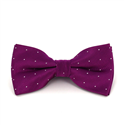 Purple Bow Tie with Shimmering Dots