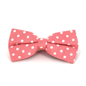 Orange Bow Tie with White Polka Dots