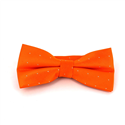 Orange Bow Tie with Shimmering Dots