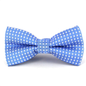 Light Blue Polka Dot Bow Tie for Boys