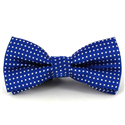 Children's Blue Polka Dot Bow Tie