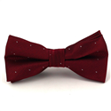 Burgundy Polka Dot Bow Tie for Boys