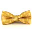 Champagne Polka Dot Bow Tie for Boys