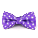 Children's Purple Polka Dot Bow Tie