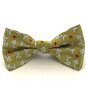 Golden Fishbone Kids Bow Tie