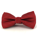 Red Polka Dot Bow Tie for Boys