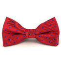 Children's Red Polka Dot Bow Tie