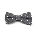 Grey Polka Dot Oxford Bow Tie