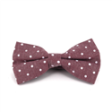 Red Polka Dot Oxford Bow Tie