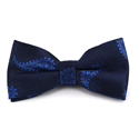 Blue Paisley Bow Tie