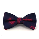 Blue Paisley Bow Tie