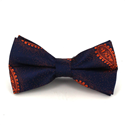 Blue Paisley Bow Tie