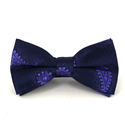 Blue Paisley Bow Tie