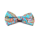 Light Blue Paisley Bow Tie