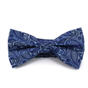 Light Blue and Blue Paisley Bow Tie