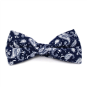 Blue and White Paisley Bow Tie