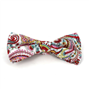 White and Red Paisley Bow Tie