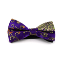 Purple Paisley Shine Bow Tie